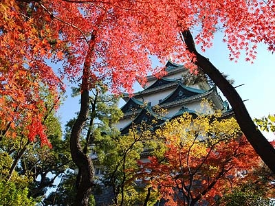 秋の名古屋城（拾い物写真）.jpg